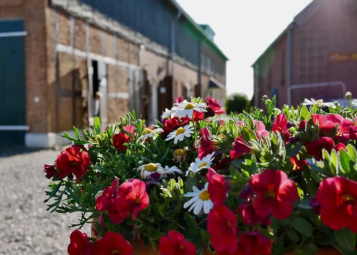 Knusthof - 1 Albertsdorf